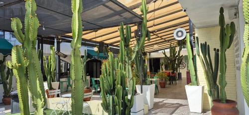 Φωτογραφία από το άλμπουμ του Coyote Lofts-Estacion Federal σε Tijuana