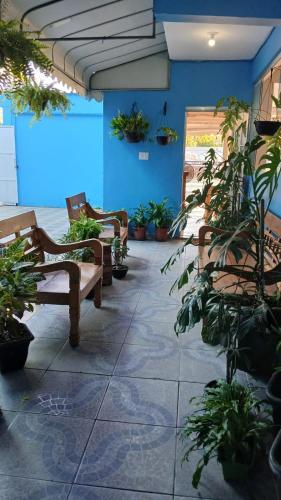 a patio with benches and potted plants in a building at Pousada Panceiro in Cabo Frio