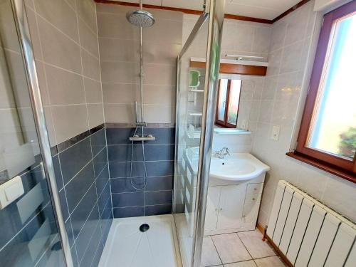 a bathroom with a shower and a sink at House near Vosges Park and La Petite Pierre in Hinsbourg