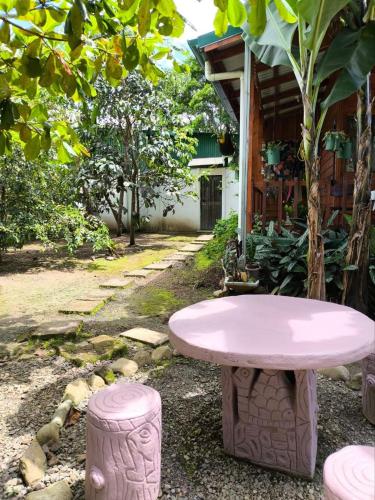 Κήπος έξω από το Cabin in Orosi