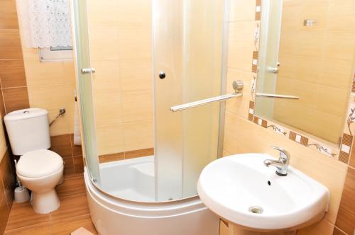 a bathroom with a shower and a sink and a toilet at Apartament Pod Łanem in Tylicz
