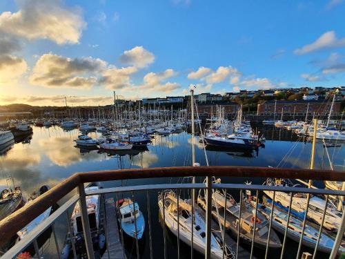 a group of boats docked in a marina at Marina Retreat in Milford Haven
