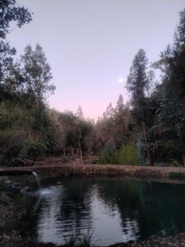 a body of water with trees in the background at La Polcura Lodge Turismo -Fishing Lodge & Spa in El Llano
