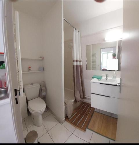 une salle de bain blanche avec des toilettes et un lavabo dans l'établissement Studio Avignon Centre le Saint Pierre, à Avignon