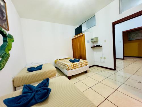 Η κουζίνα ή μικρή κουζίνα στο Tintorera Guest House