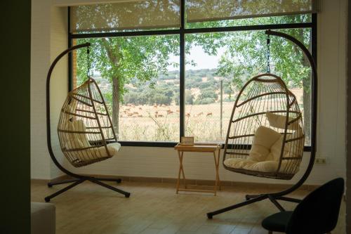 two hanging chairs in a room with a window at Hamlets Friends Rural House in Nuño Gómez