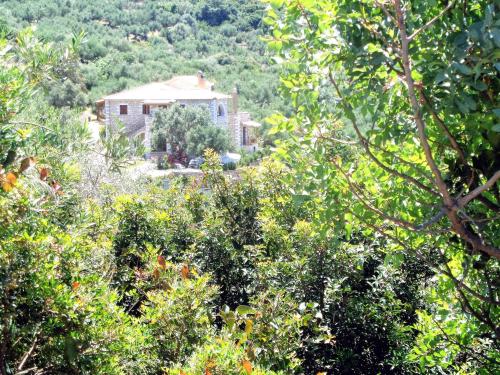 a house in the middle of a forest of trees at Menina Farm Kalamata Countryside in Perivolákia