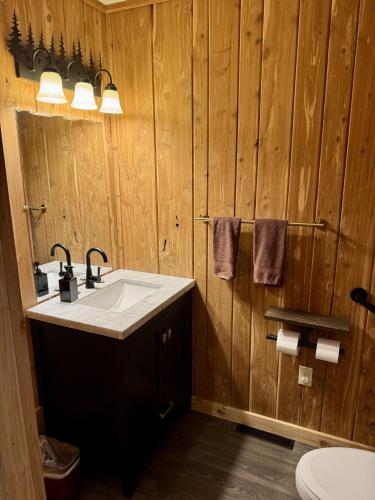 a bathroom with a sink and a wooden wall at Grand Cabin in Nashville