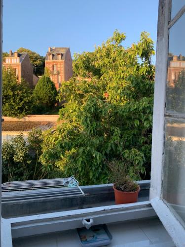 un rebord de fenêtre avec un banc devant un buisson dans l'établissement La belle ecluse du treport, au Tréport