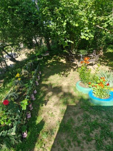 a garden with a bunch of flowers and plants at LeriMari in Mestia