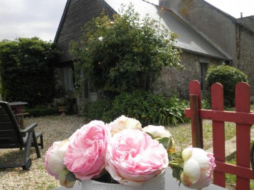 a vase filled with pink flowers next to a fence at Chez patricia in Ploubazlanec
