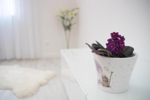 a white flower pot with purple flowers in it at Sofia Apartment in Budapest