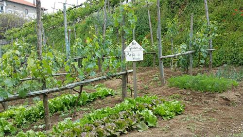 Κήπος έξω από το Appartamenti Aria di Verde