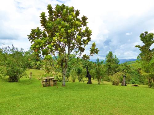 a park with a picnic table and a tree at Finca El Cielo in San Agustín