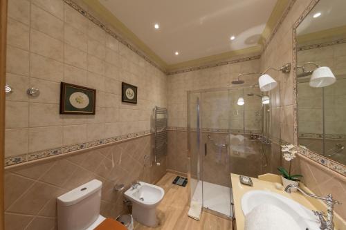 a bathroom with a toilet and a sink and a shower at Casa de São Domingos in Peso da Régua