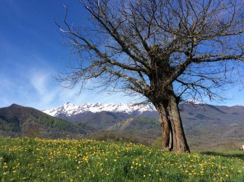 Φυσικό τοπίο κοντά σε αυτό το ξενοδοχείο