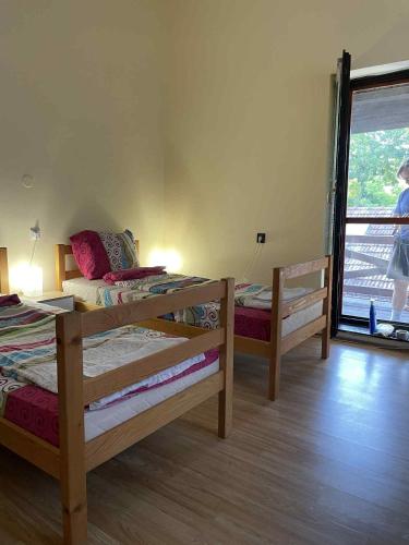 Gallery image of Németh Apartman Palić in Palić