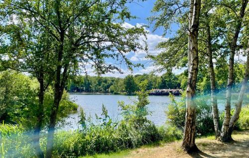 a view of a lake from between two trees at Sonnevijver Vijverdorp-Waterl in Rekem
