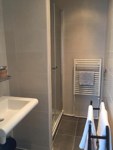 a bathroom with a shower and a sink at Greenwoods cottage in Valkenburg