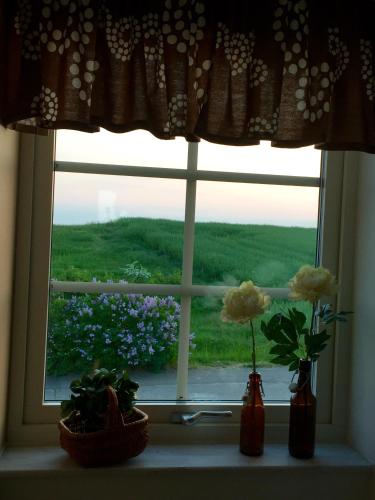 a window with flowers in vases on a window sill at Hotell Vellingebacken in Vellinge
