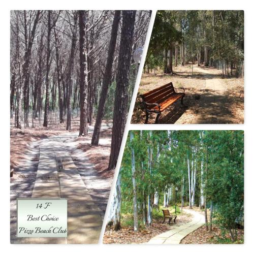 a collage of three pictures of a park with a bench at Sunshine calabria in Pizzo
