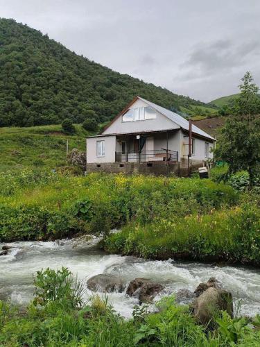a house in a field next to a river at MOUNTAIN HOUSE In ROSHKA in Roshka