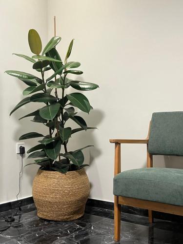 a plant in a pot sitting next to a chair at KK Athens Fine Stay-Steps to Metro-Modern & Cozy Apartments in Athens