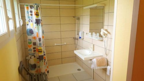 a bathroom with a shower curtain and a sink at Relais Saint Michel in Saint-Michel