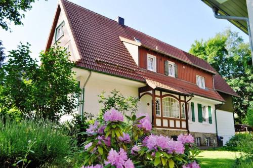 Galeriebild der Unterkunft Pension Trautheim in Bad Harzburg