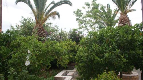 a garden with palm trees and flowers and plants at Villa Christina in Tolo