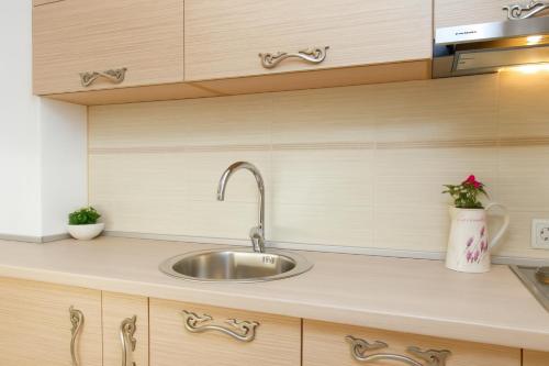 Η κουζίνα ή μικρή κουζίνα στο Central Belgrade Apartments
