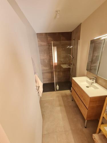 a bathroom with a sink and a shower at Gite Grand Confort en pleine nature - Le Perchoir de l'Olme in Chalmazel Jeansagniere