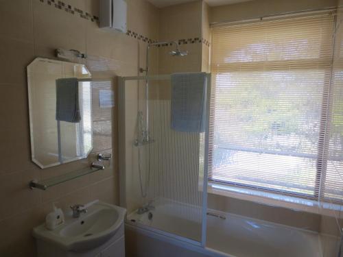 a bathroom with a shower and a sink and a toilet at The Stone House B&B in Baltimore