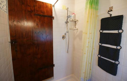 a bathroom with a shower with a wooden door at Villa Marina in Bosco