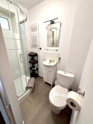 a bathroom with a toilet and a sink and a shower at Perła in Stegna