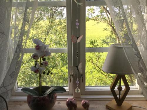 a window with a vase with flowers in front of it at B&B Hannåsa Gård in Hammenhög