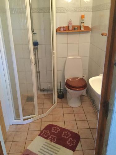 a bathroom with a toilet and a shower and a sink at B&B Hannåsa Gård in Hammenhög