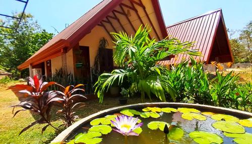a pond with flowers in front of a house at Sigiri Enaya Cottage in Sigiriya