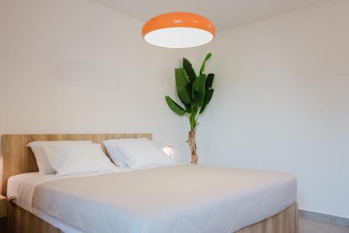 Pockets Apartment