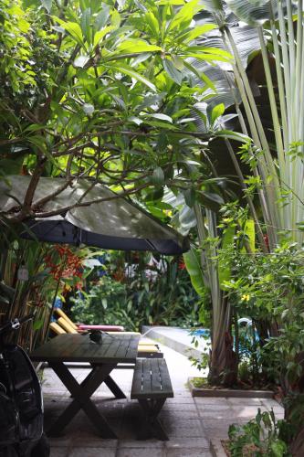 a garden with a bench and a tree in a greenhouse at An Bang Gold Coast Beach Villa in Hoi An