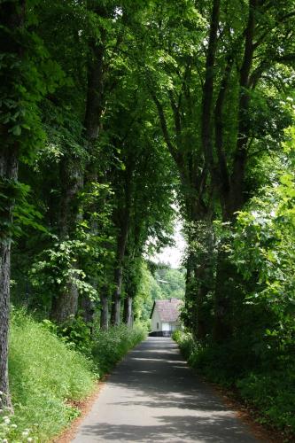 a tree lined road with a small house in the middle at Landgasthof Em Lade in Dahlem