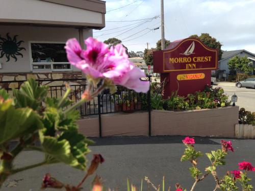 a pink flower in front of a sign for a mushroom crust inn at Morro Crest Inn in Morro Bay