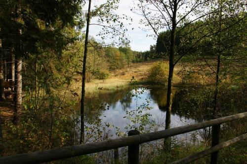 a view of a river with a wooden fence at Landgasthof Em Lade in Dahlem
