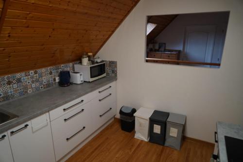 Η κουζίνα ή μικρή κουζίνα στο Apartmán Jako u Babičky