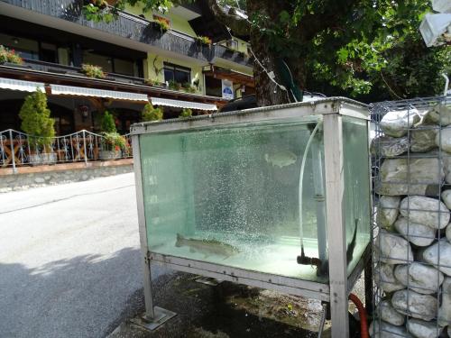Gambar di galeri bagi Penzion Rožič di Bohinj