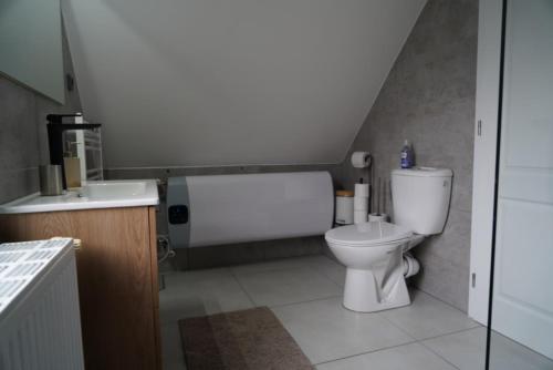 a bathroom with a toilet and a sink at Apartmán Jako u Babičky in Tisá