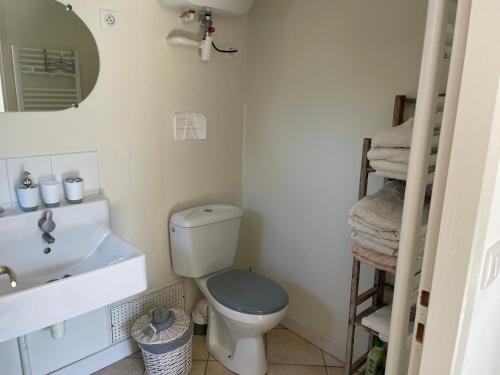 Un baño con inodoro, lavabo y espejo. en Gîte entre lacs, océan et forêts, en Pissos