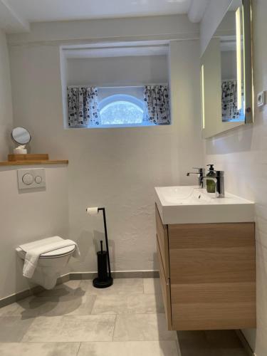 a bathroom with a sink and a toilet at Bjerremark Hotel og Kursuscenter in Tønder