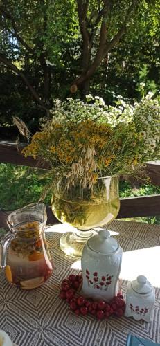 a glass vase with flowers in it on a table at Agroturystyka Stajnia Dorado Pokoje Gościnne i Apartamenty in Leoncin