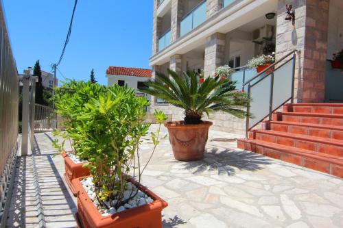 a group of potted plants in front of a building at Mila & Aleksandr Apartments in Budva